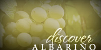 Discover Albariño
