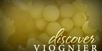 Discover Viognier