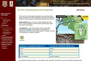 Gallo Wine Academy