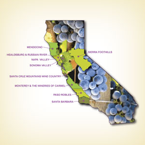 Napa Regions Map