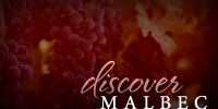 Discover Malbec