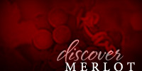 Discover Merlot