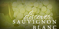 Discover Sauvignon Blanc