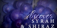 Discover Shiraz