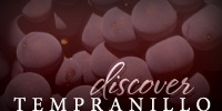 Discover Tempranillo